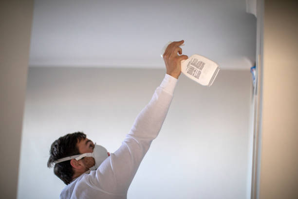 Best Crawl Space Mold Removal  in Conesus Lake, NY