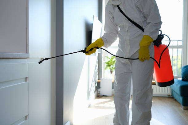 Best Mold Cleaning Services  in Conesus Lake, NY